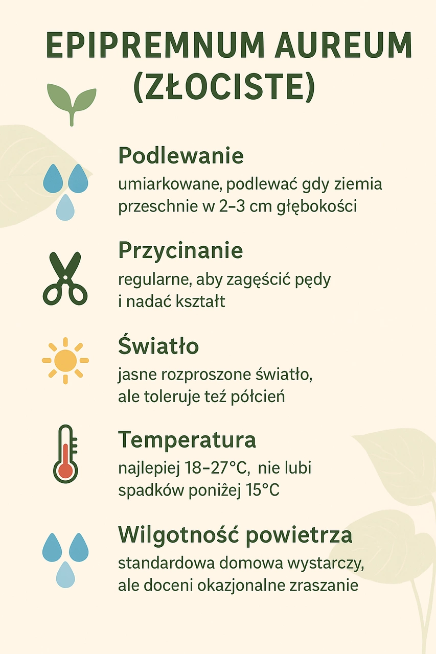 Epipremnum aureum C1,2